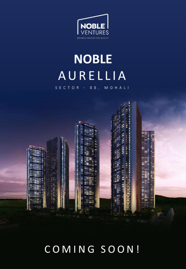 noble aurellia view